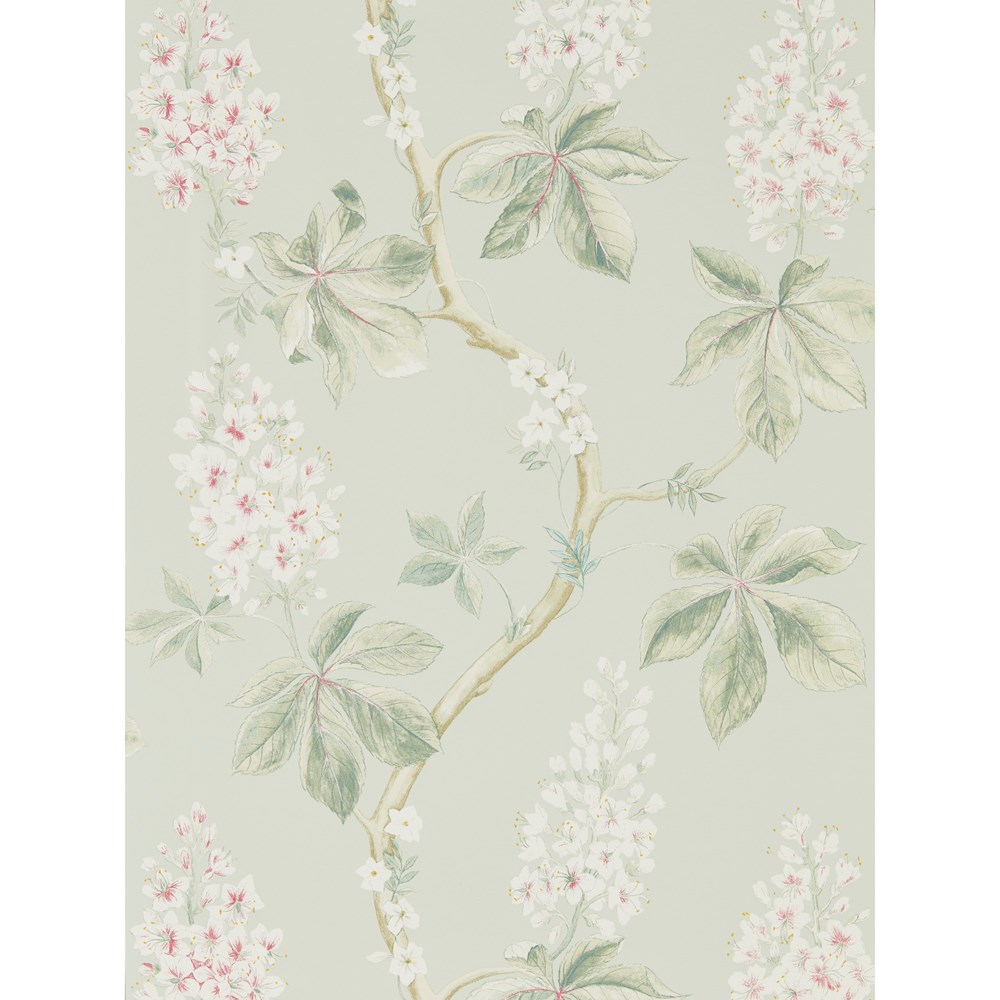 Chestnut Tree Wallpaper 215710 by Sanderson in Seaspray Green